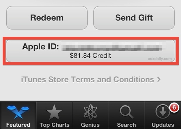 Check Apple store gift card balance